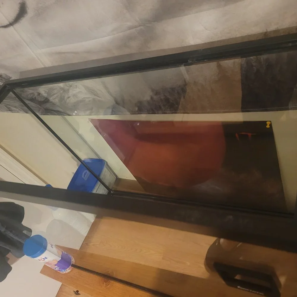 55 gallon fish tank, supplies, and accessories.